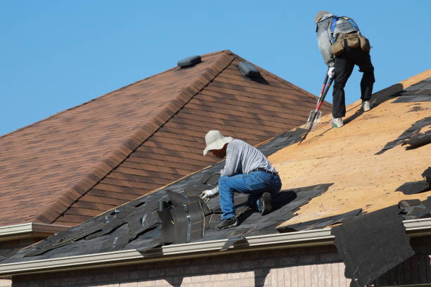 Best Asphalt Shingle Roofing  in Houserville, PA