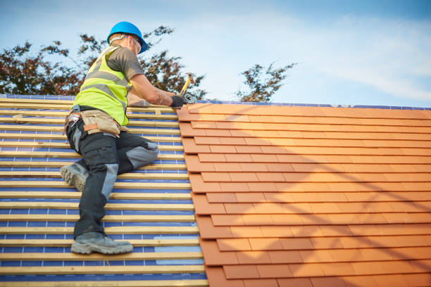 Best Roof Moss and Algae Removal  in Houserville, PA